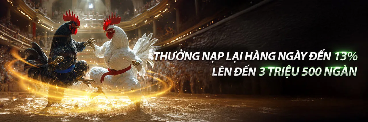 Đá gà trực tiếp 16 11 - Sân chơi cá cược đá gà đỉnh cao